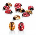 /products/coccinelle-al-latte/